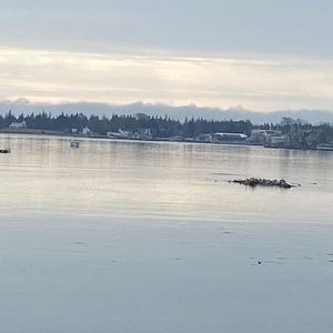 Meet your Posher, Cherie